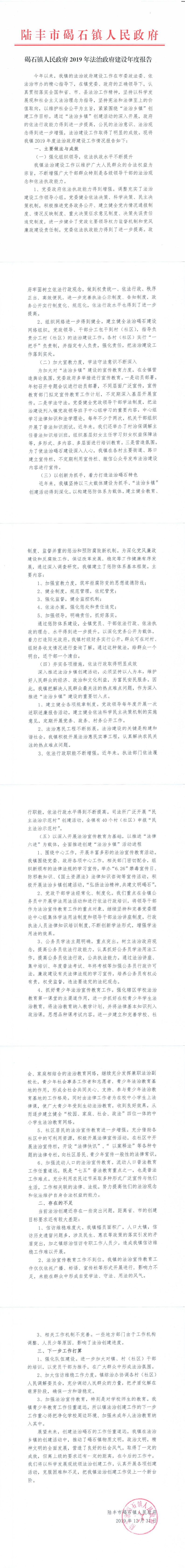 碣石鎮(zhèn)人民政府2019年法治政府建設年度報告_0.png