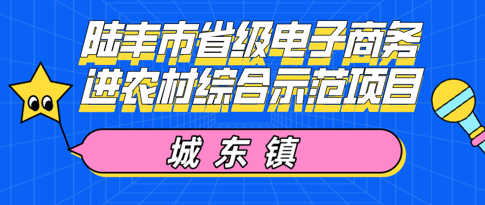 城東鎮(zhèn)電商培訓(xùn)班.png