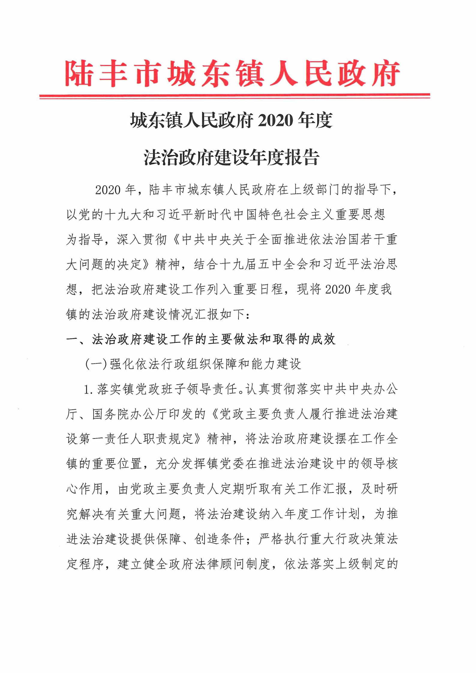 城東鎮(zhèn)人民政府2020年度法治政府建設年度報告_00.png