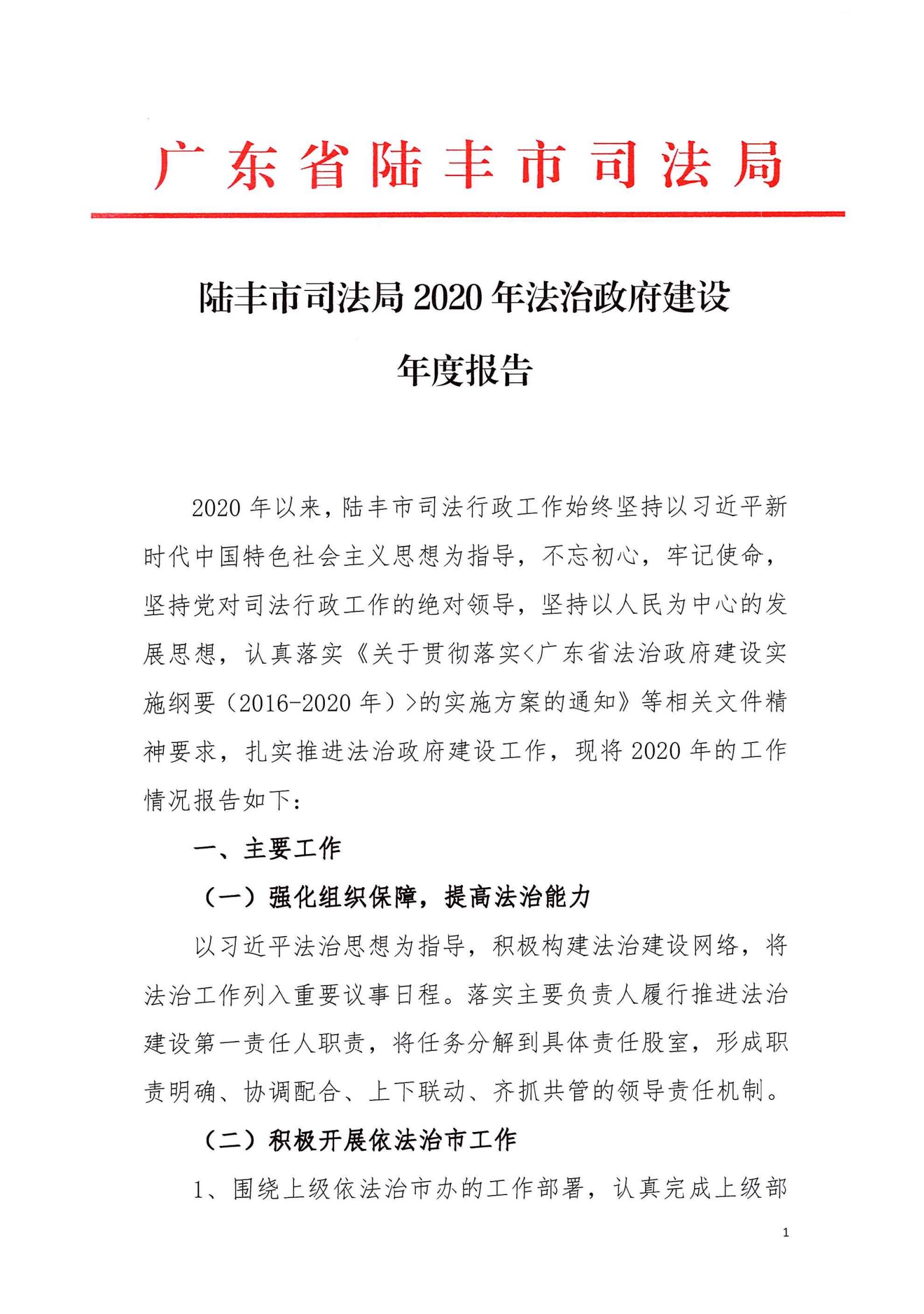 陸豐市司法局2020年法治政府建設年度報告_00.png